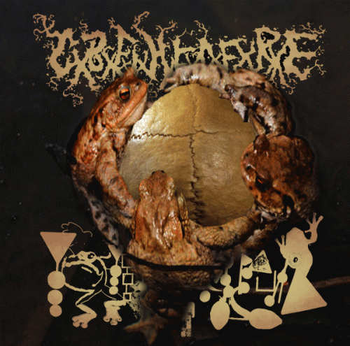 Catastrophic Blunt Force Intracranial Haemorrhage Fluid Leaking From Ruptured Eardrums : CxBxFxIxHxFxLxFxRxE - Phyllomedusa